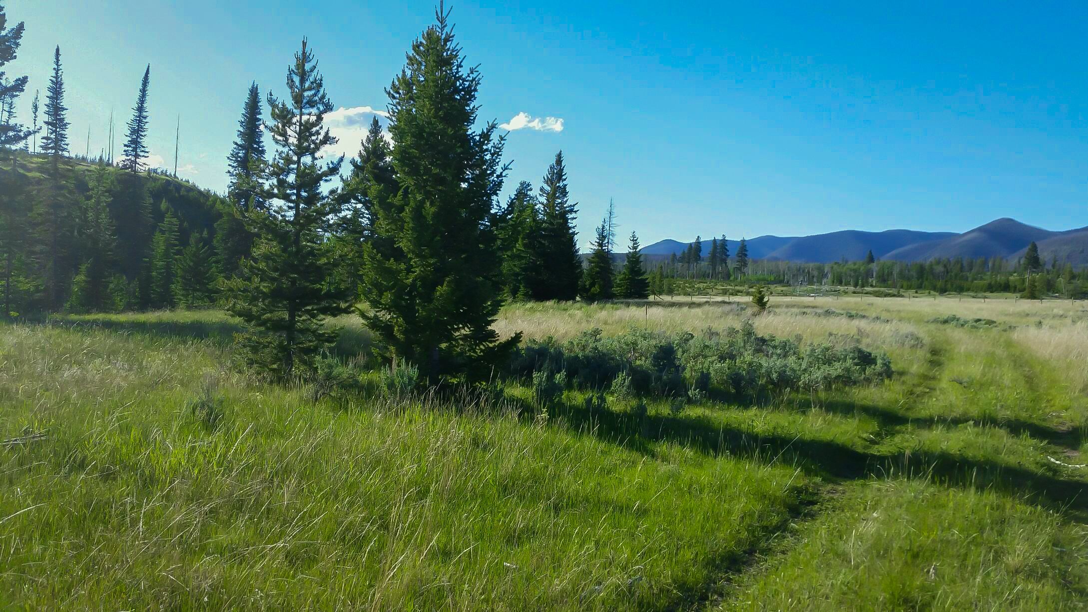 Silver King Ranch property picture 47 of 52