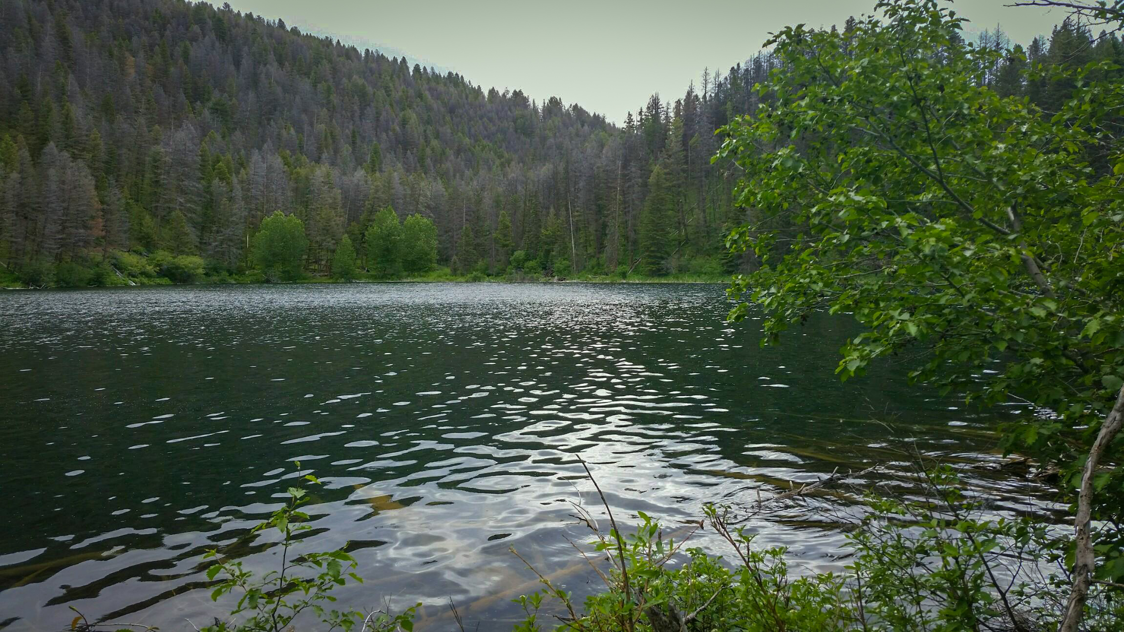 Silver King Ranch property picture 44 of 52