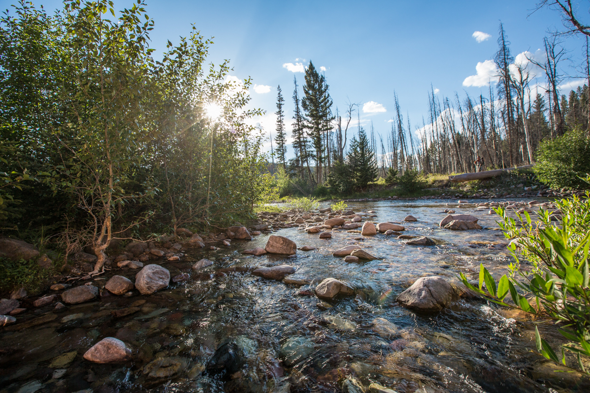 Silver King Ranch property picture 43 of 52
