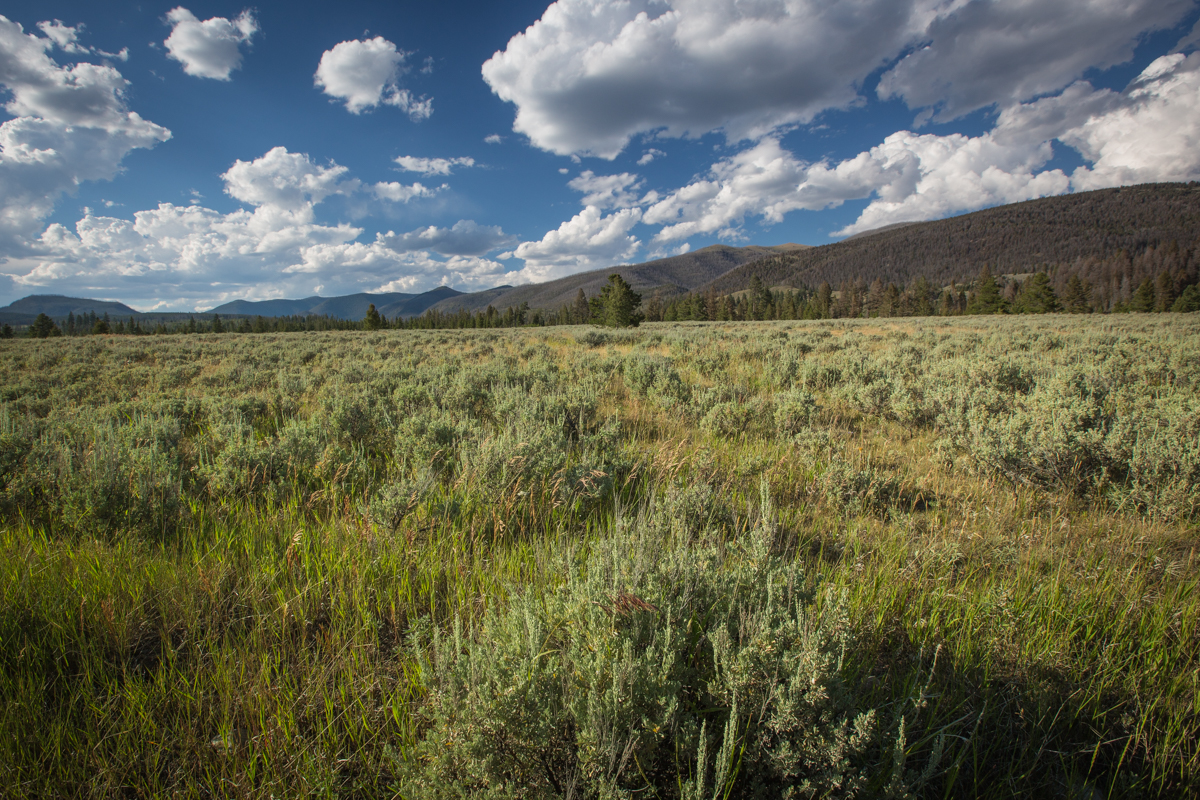 Silver King Ranch property picture 42 of 52