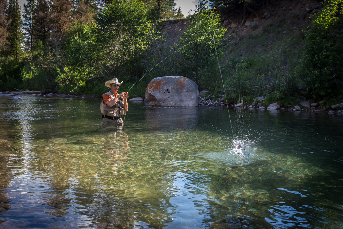 Silver King Ranch property picture 41 of 52