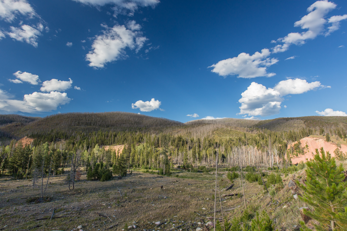 Silver King Ranch property picture 37 of 52