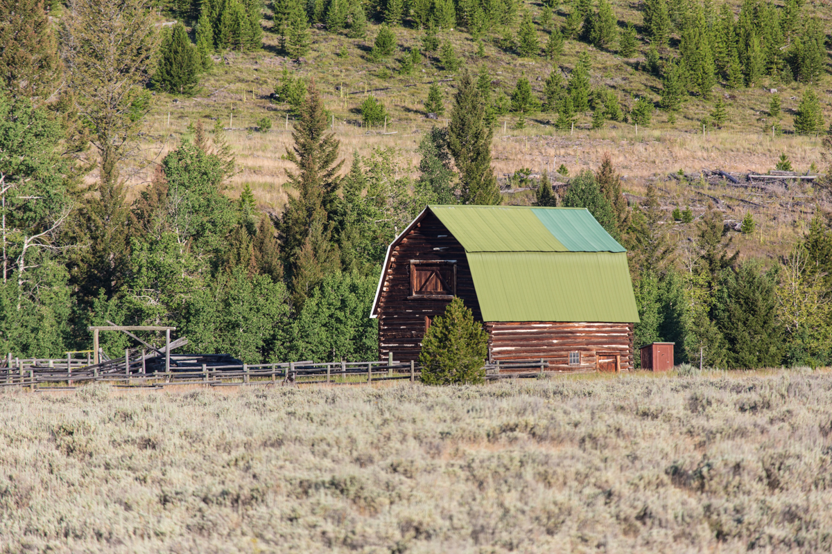 Silver King Ranch property picture 29 of 52