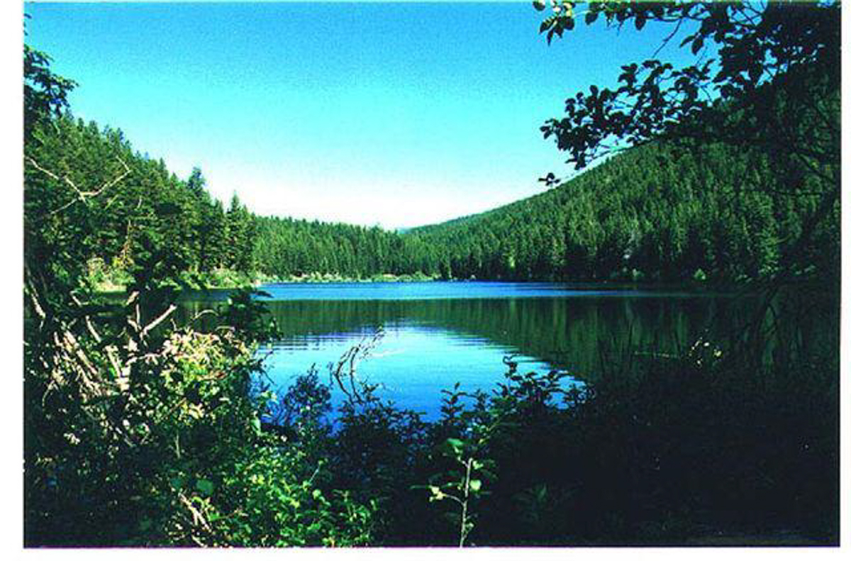 Silver King Ranch property picture 24 of 52