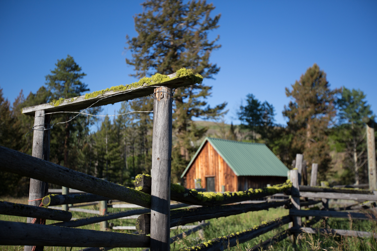 Silver King Ranch property picture 15 of 52