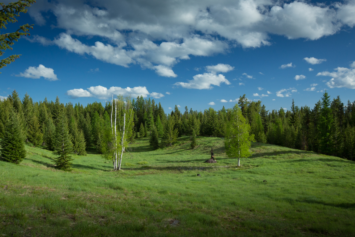 Holland Peak Retreat property picture 59 of 89