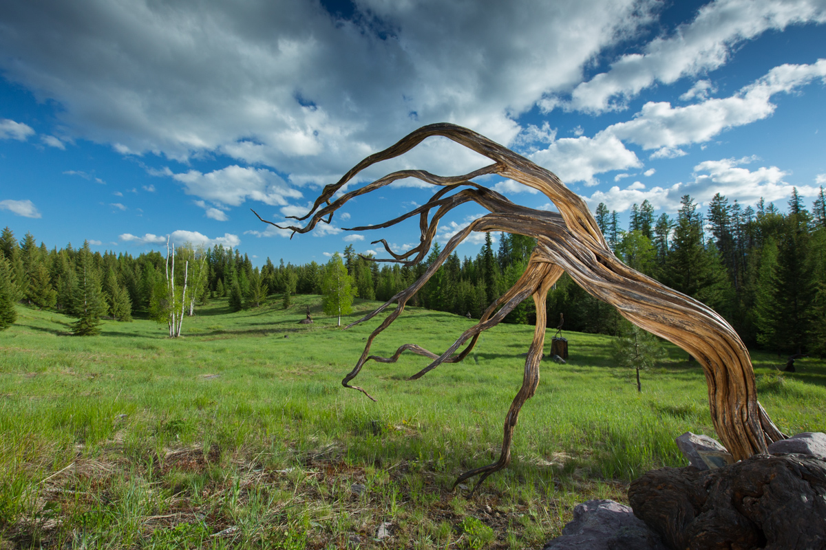 Holland Peak Retreat property picture 60 of 89
