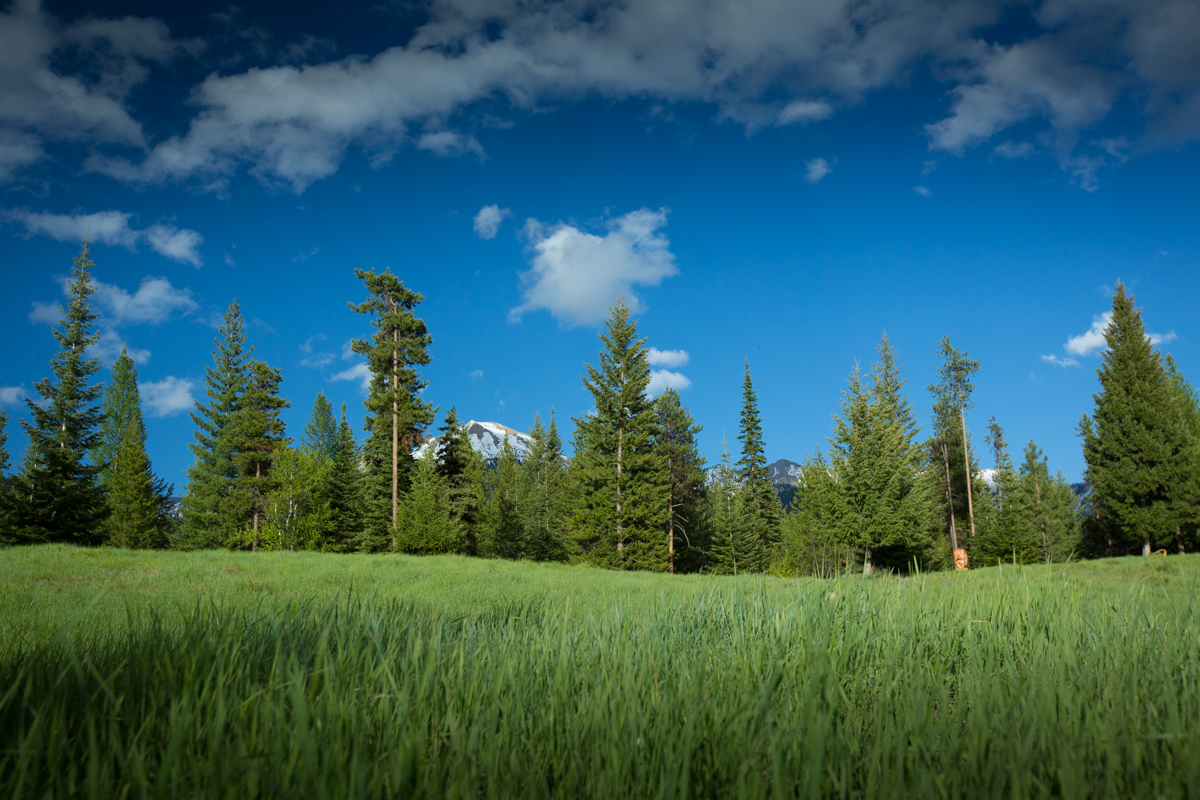 Holland Peak Retreat property picture 62 of 89