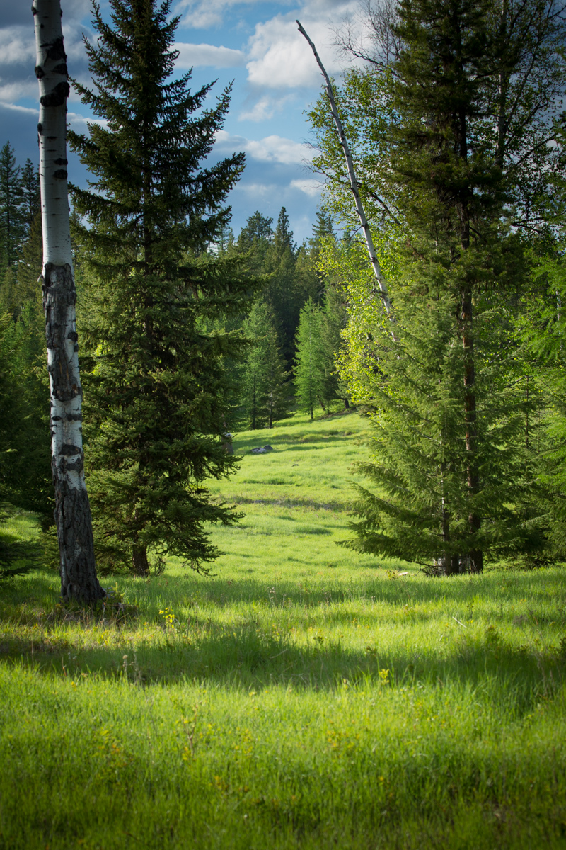 Holland Peak Retreat property picture 63 of 89