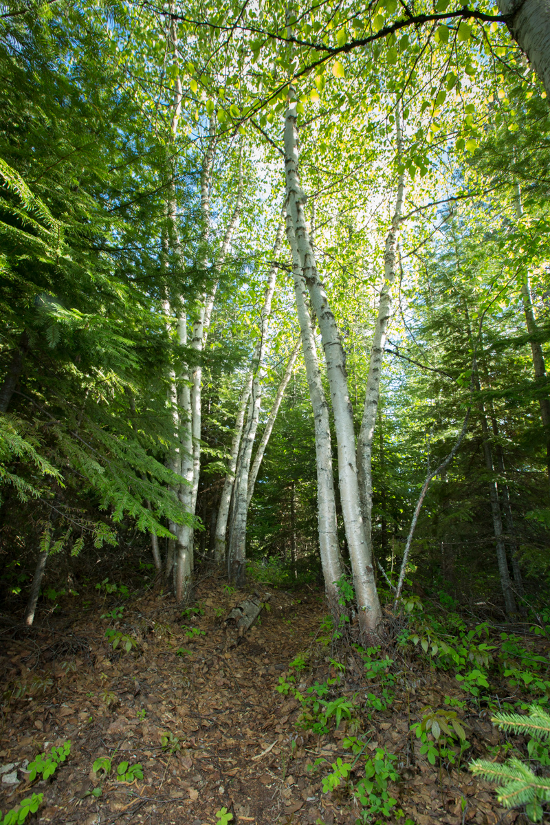 Holland Peak Retreat property picture 66 of 89
