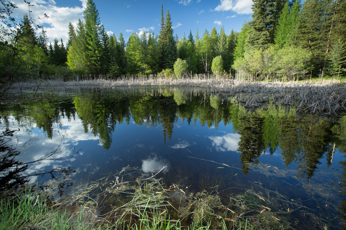 Holland Peak Retreat property picture 67 of 89
