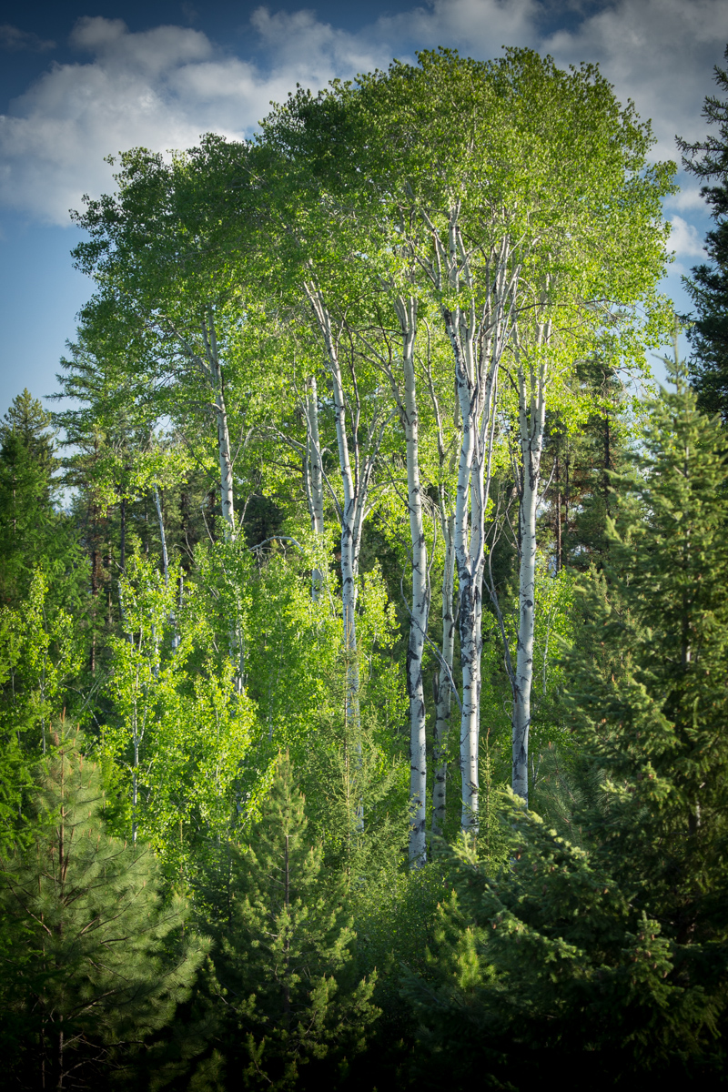 Holland Peak Retreat property picture 74 of 89