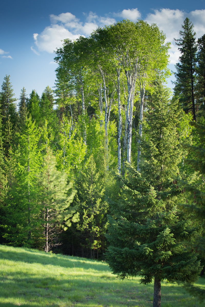 Holland Peak Retreat property picture 75 of 89