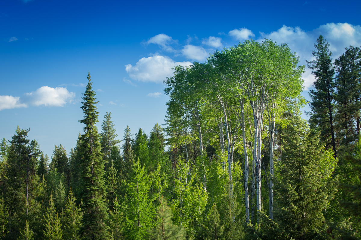 Holland Peak Retreat property picture 77 of 89