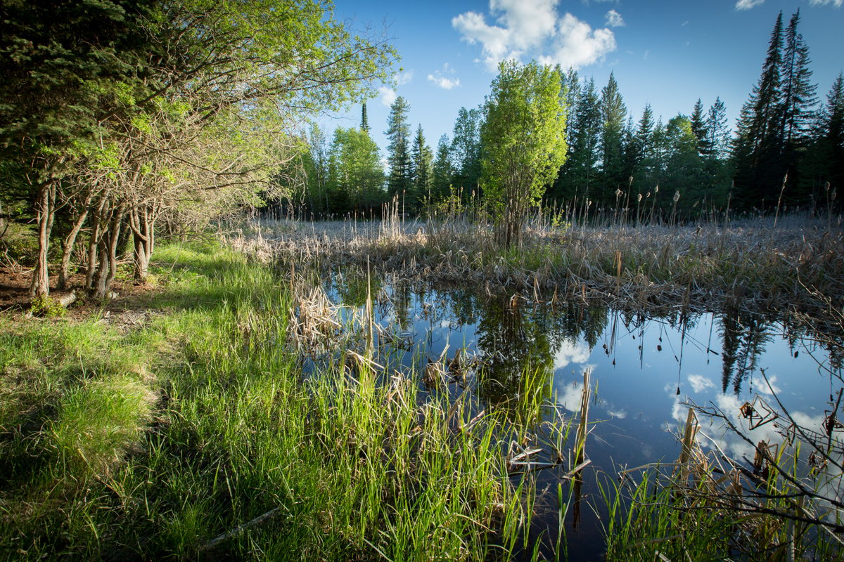 Holland Peak Retreat property picture 80 of 89