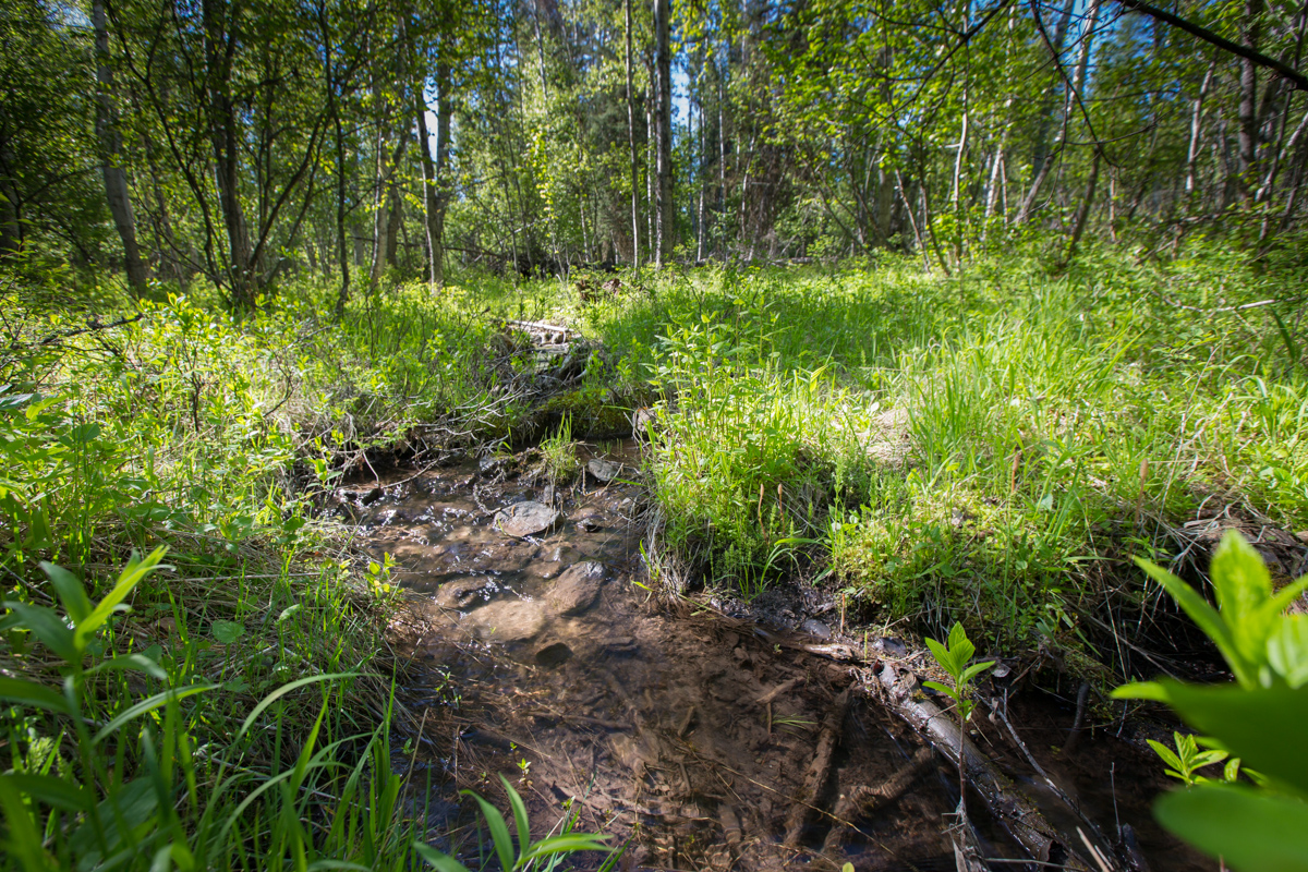 Holland Peak Retreat property picture 86 of 89