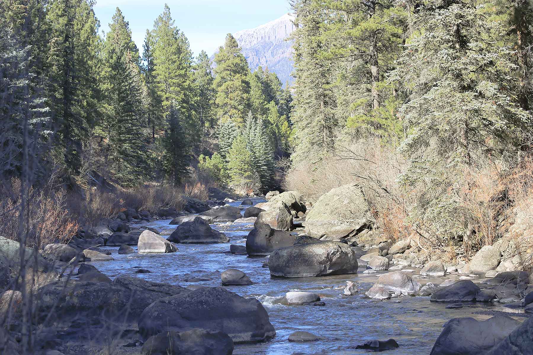 Saddleback Ranch property picture 51 of 52