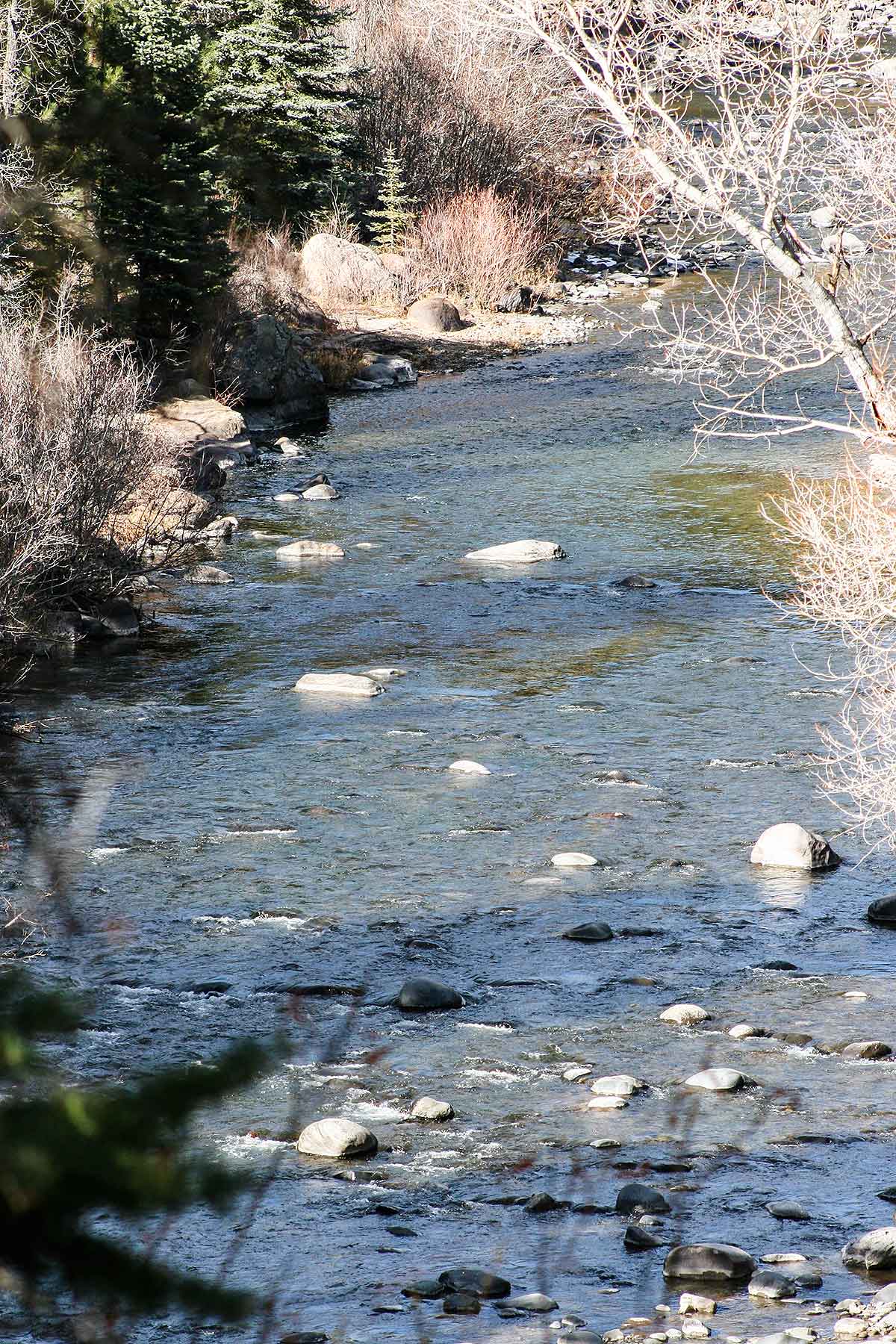 Saddleback Ranch property picture 49 of 52