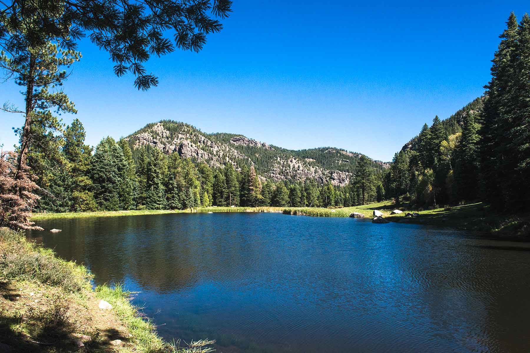 Saddleback Ranch property picture 47 of 52