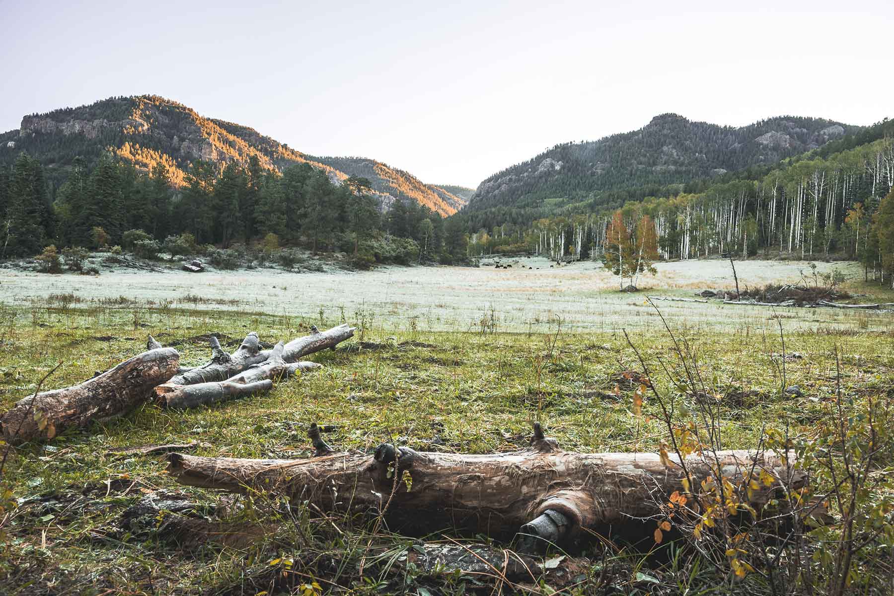 Saddleback Ranch property picture 46 of 52
