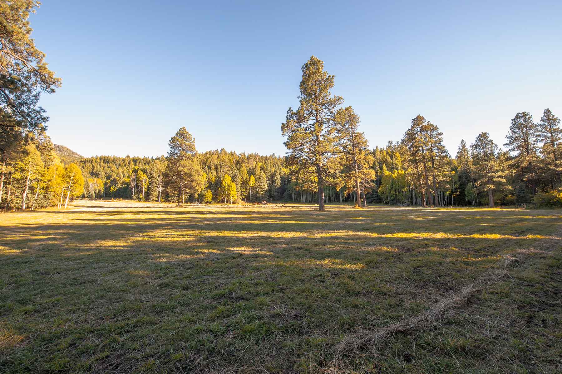 Saddleback Ranch property picture 43 of 52