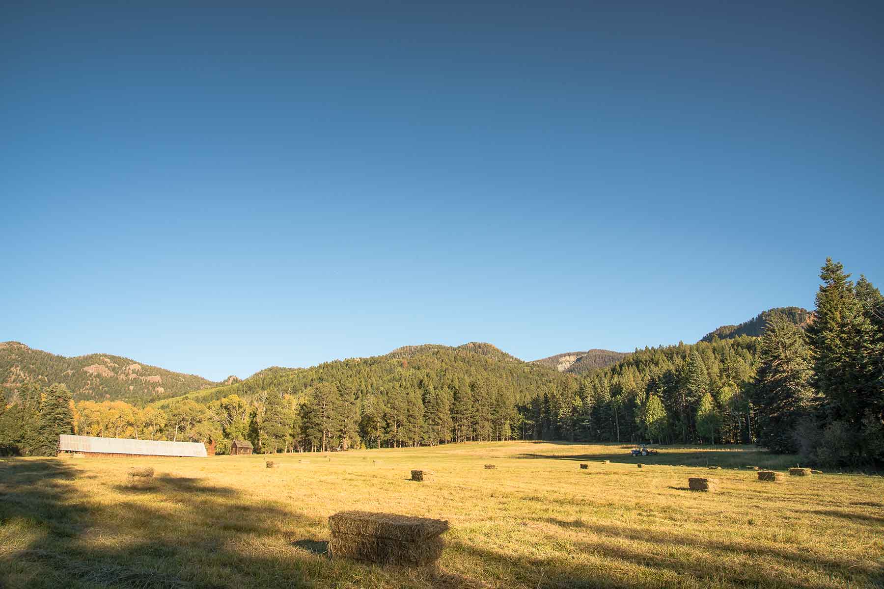 Saddleback Ranch property picture 42 of 52