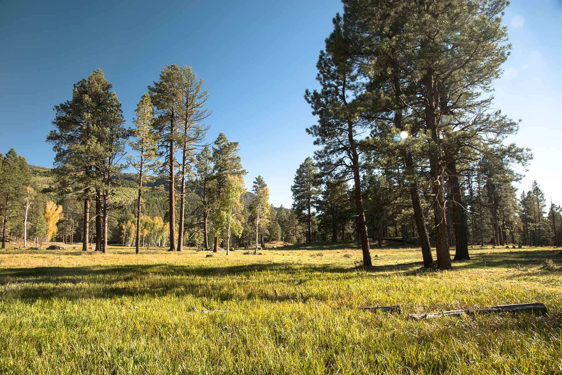 Saddleback Ranch property picture 40 of 52