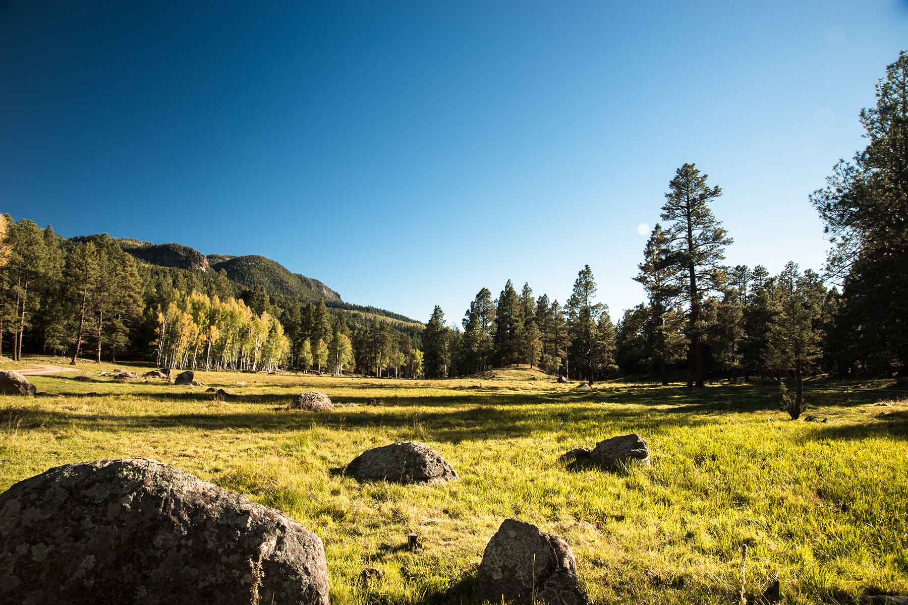 Saddleback Ranch property picture 39 of 52