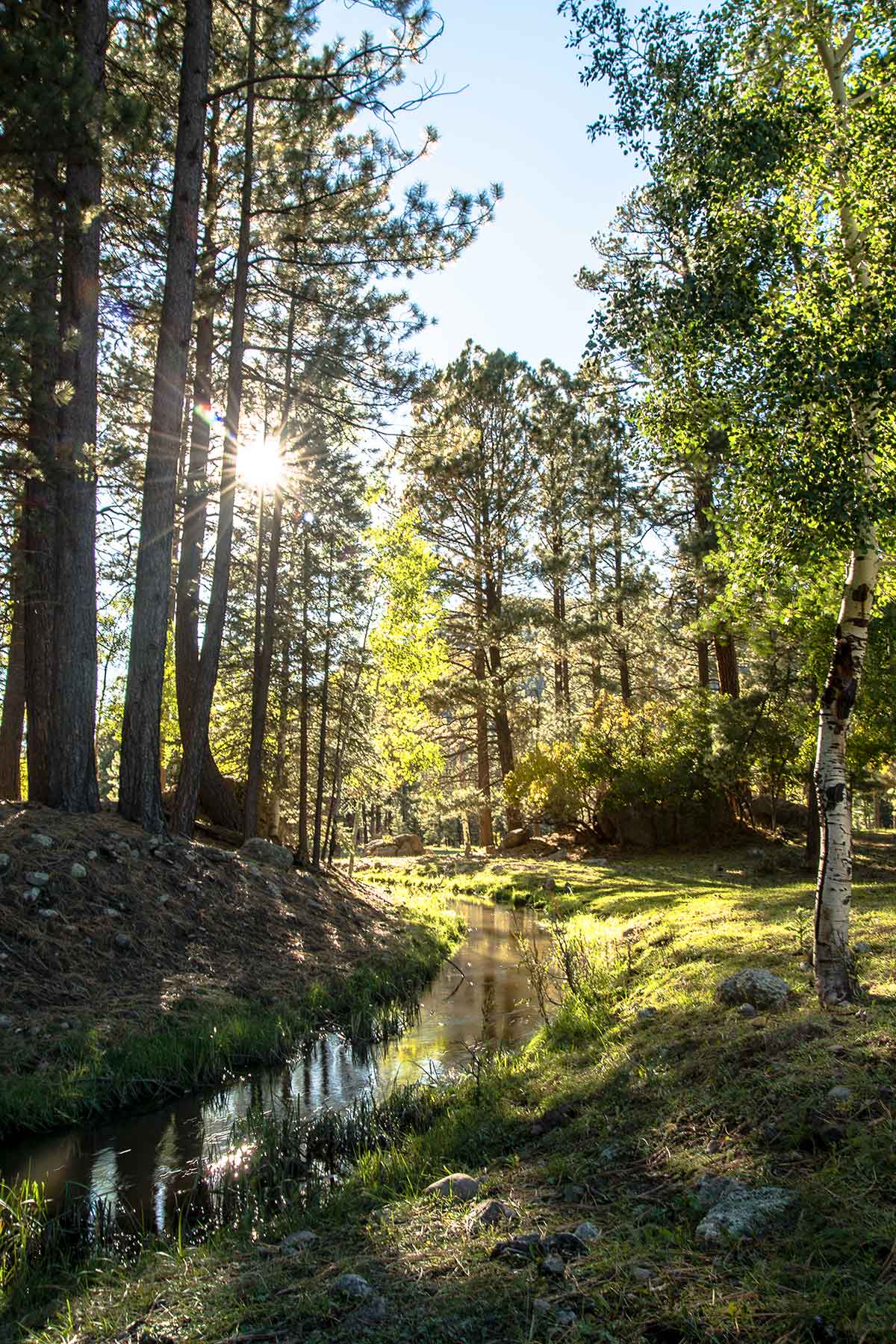 Saddleback Ranch property picture 38 of 52