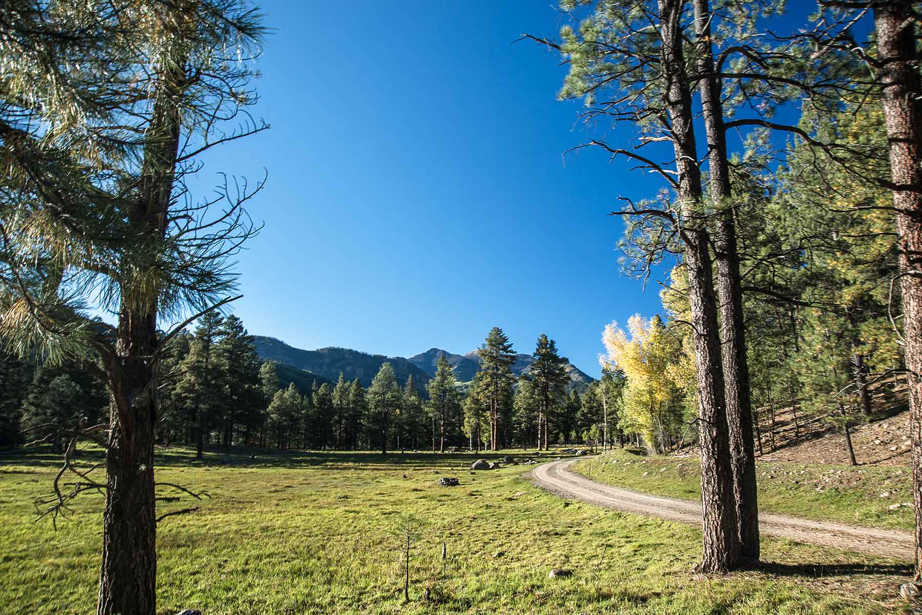 Saddleback Ranch property picture 37 of 52