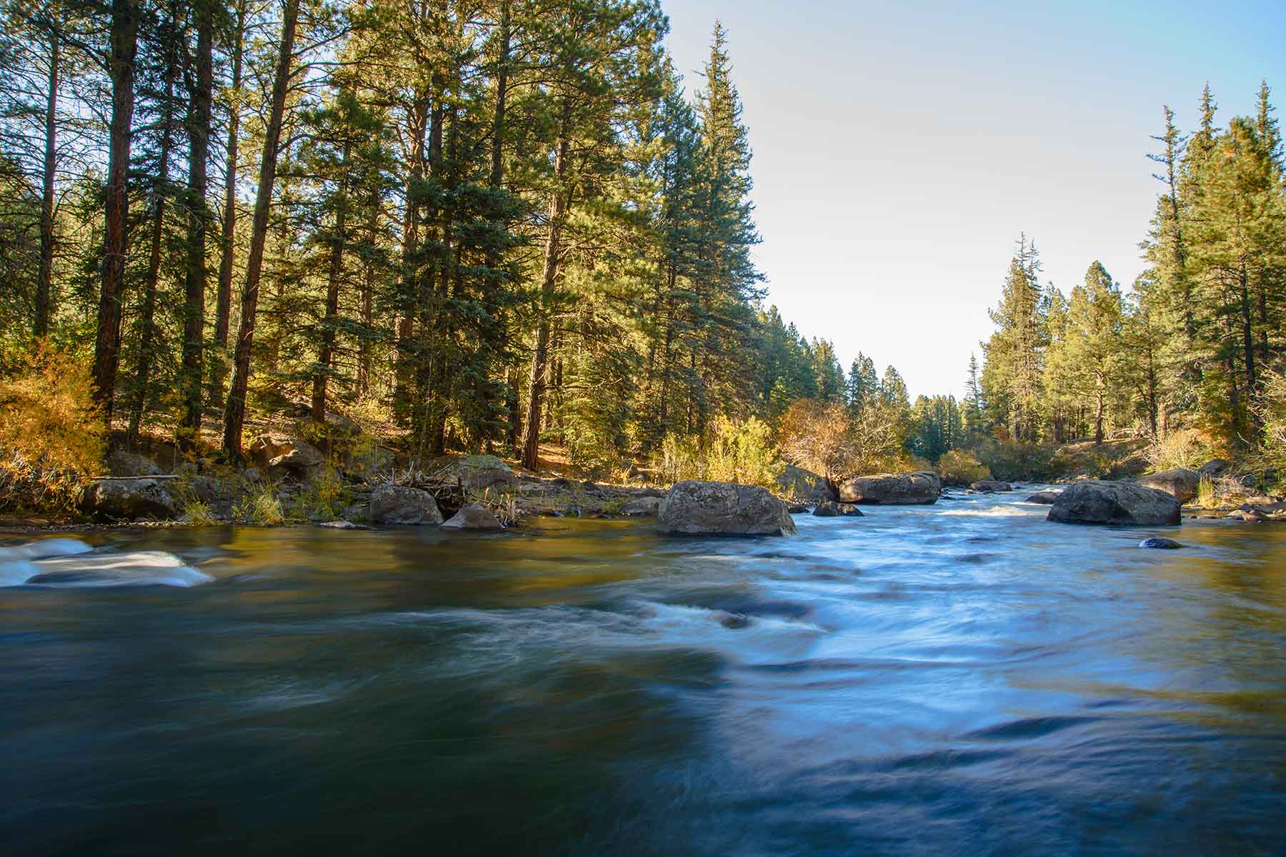 Saddleback Ranch property picture 34 of 52