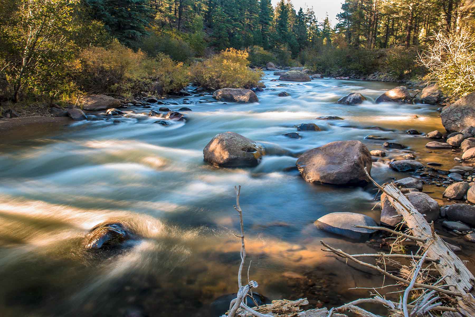 Saddleback Ranch property picture 33 of 52
