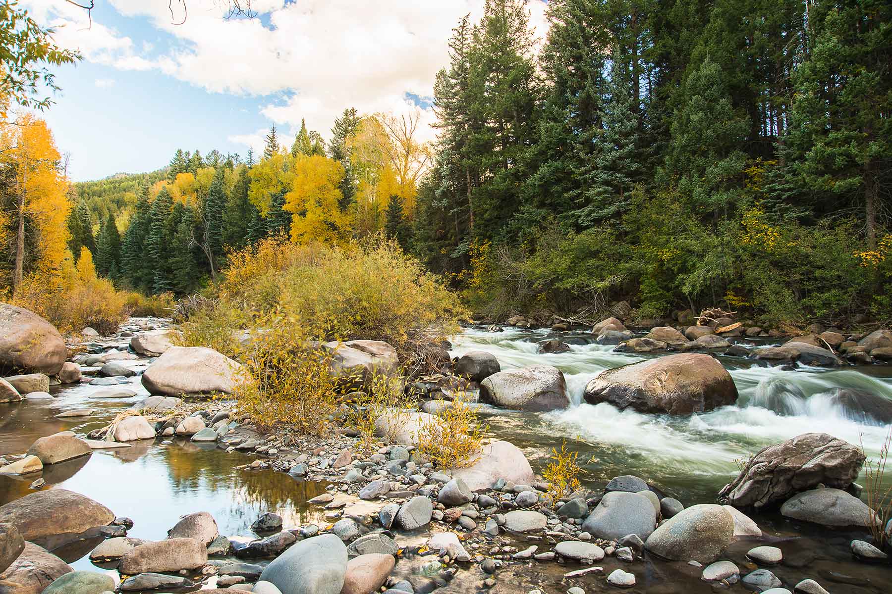 Saddleback Ranch property picture 31 of 52