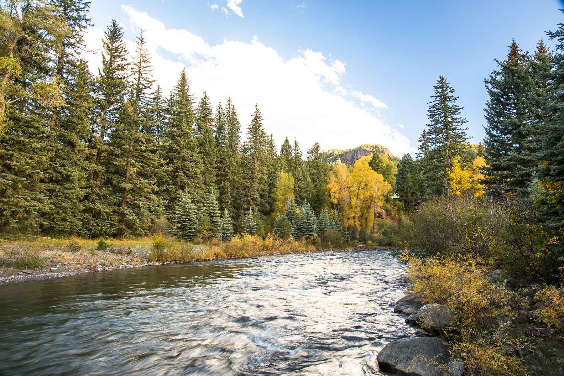 Saddleback Ranch property picture 30 of 52