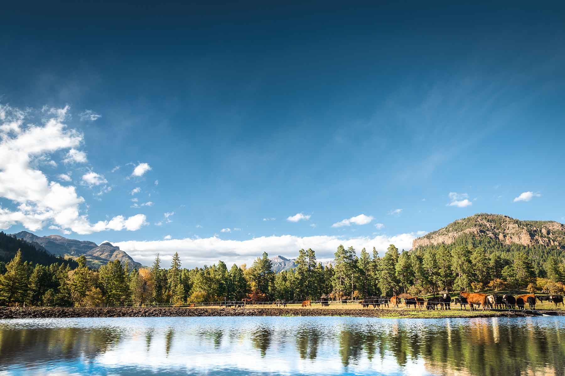 Saddleback Ranch property picture 2 of 52