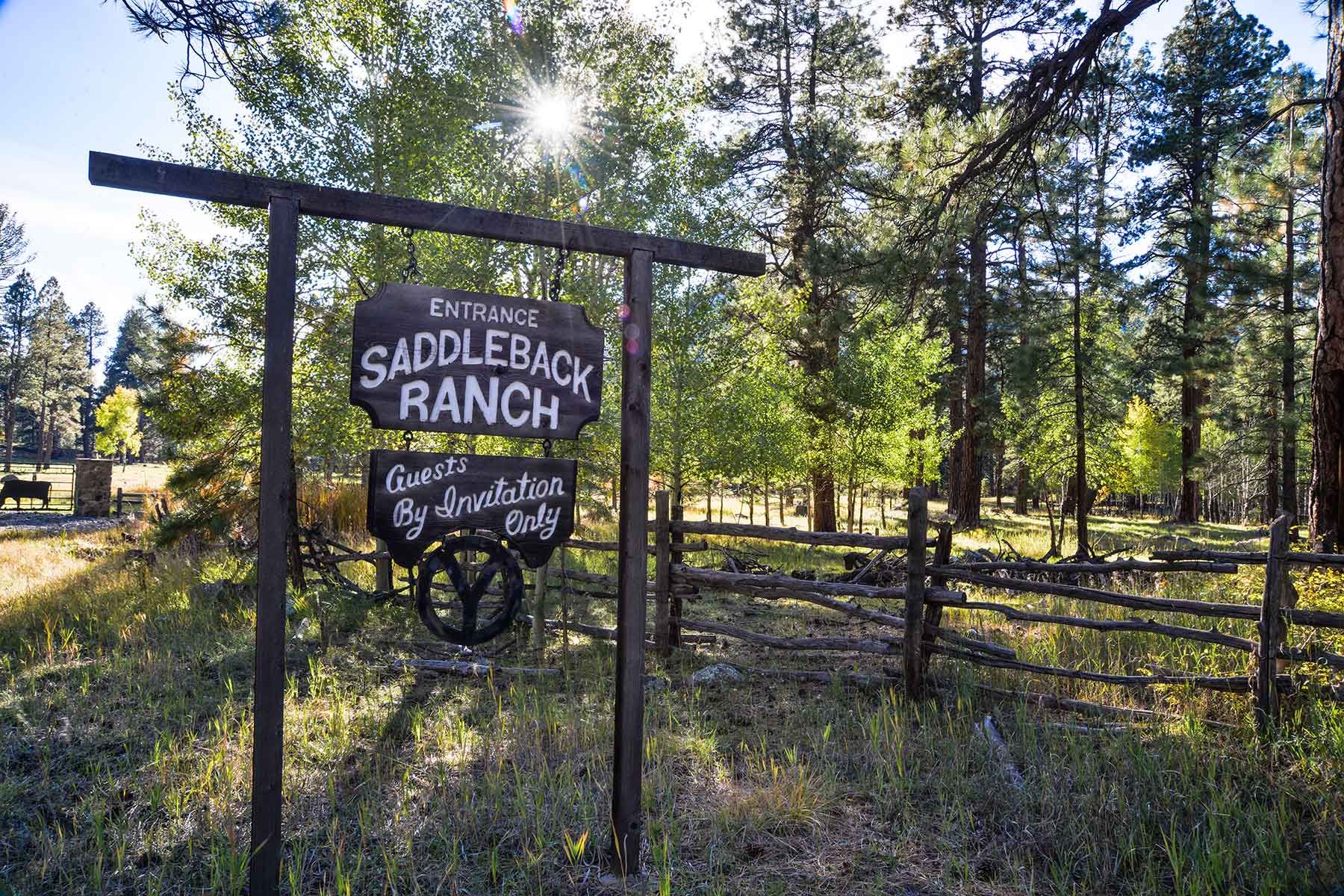 Saddleback Ranch property picture 26 of 52