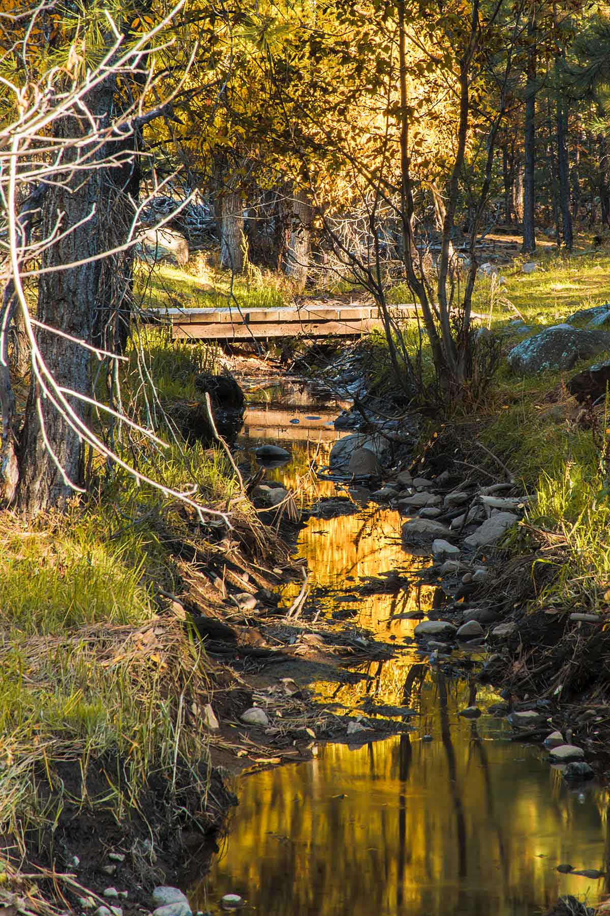 Saddleback Ranch property picture 25 of 52