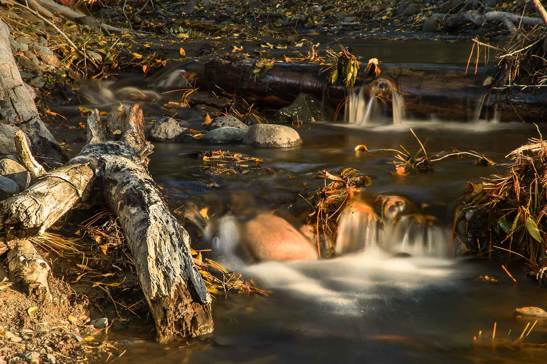 Saddleback Ranch property picture 23 of 52