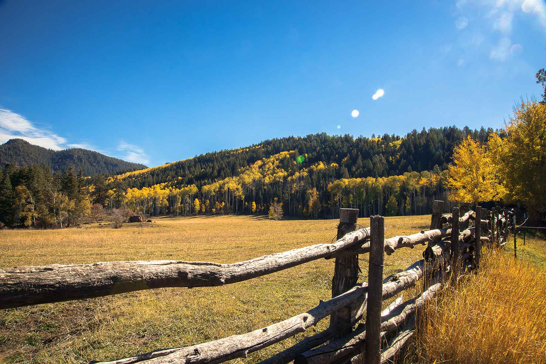 Saddleback Ranch property picture 19 of 52