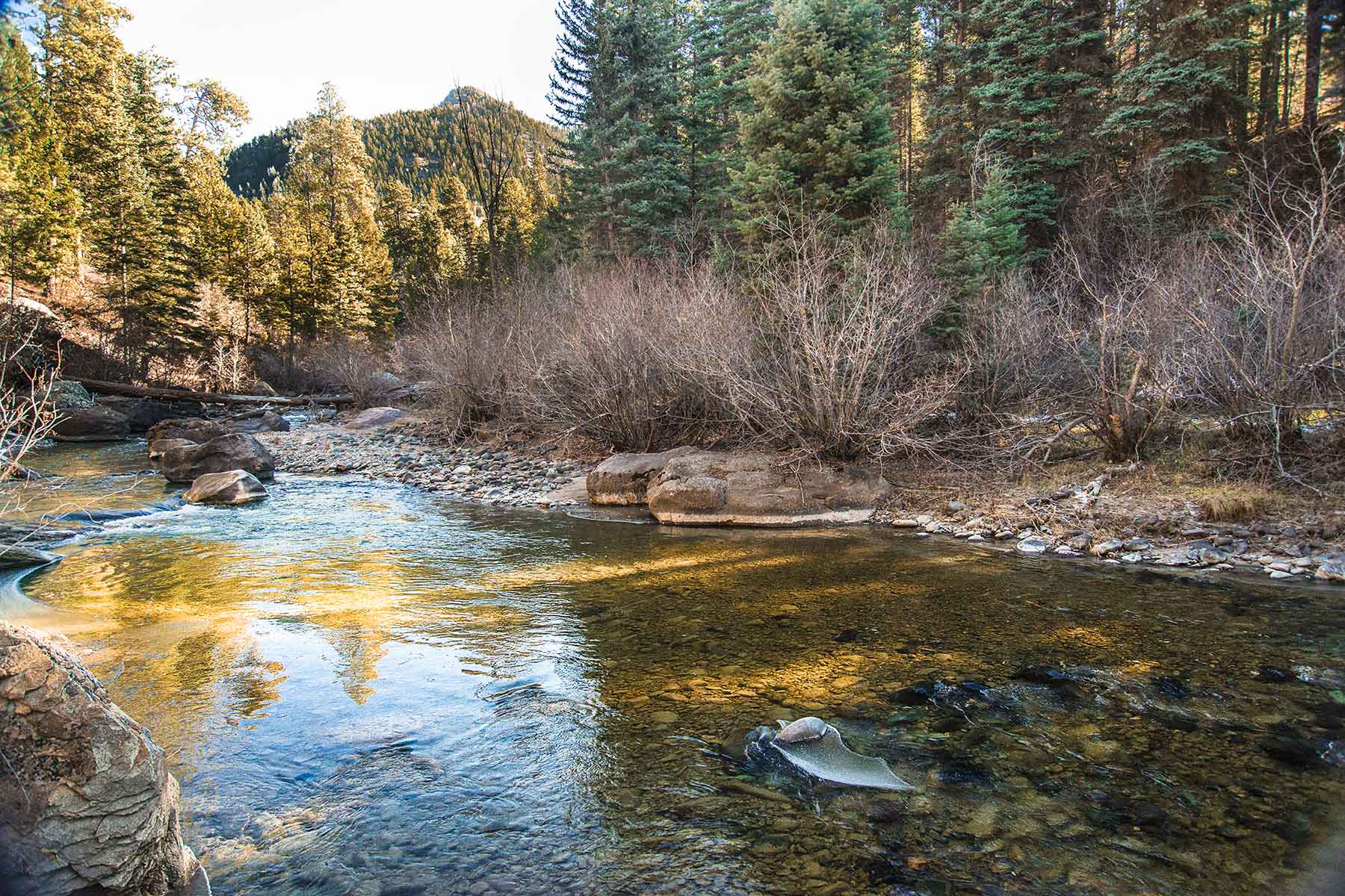 Saddleback Ranch property picture 14 of 52