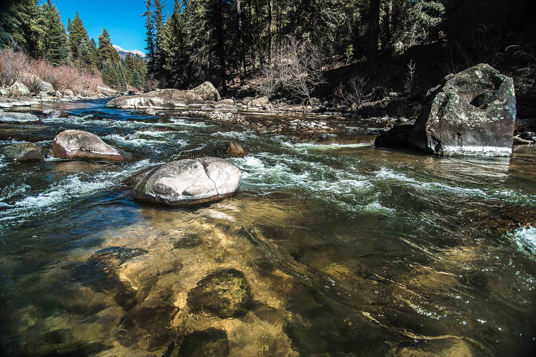 Saddleback Ranch property picture 13 of 52