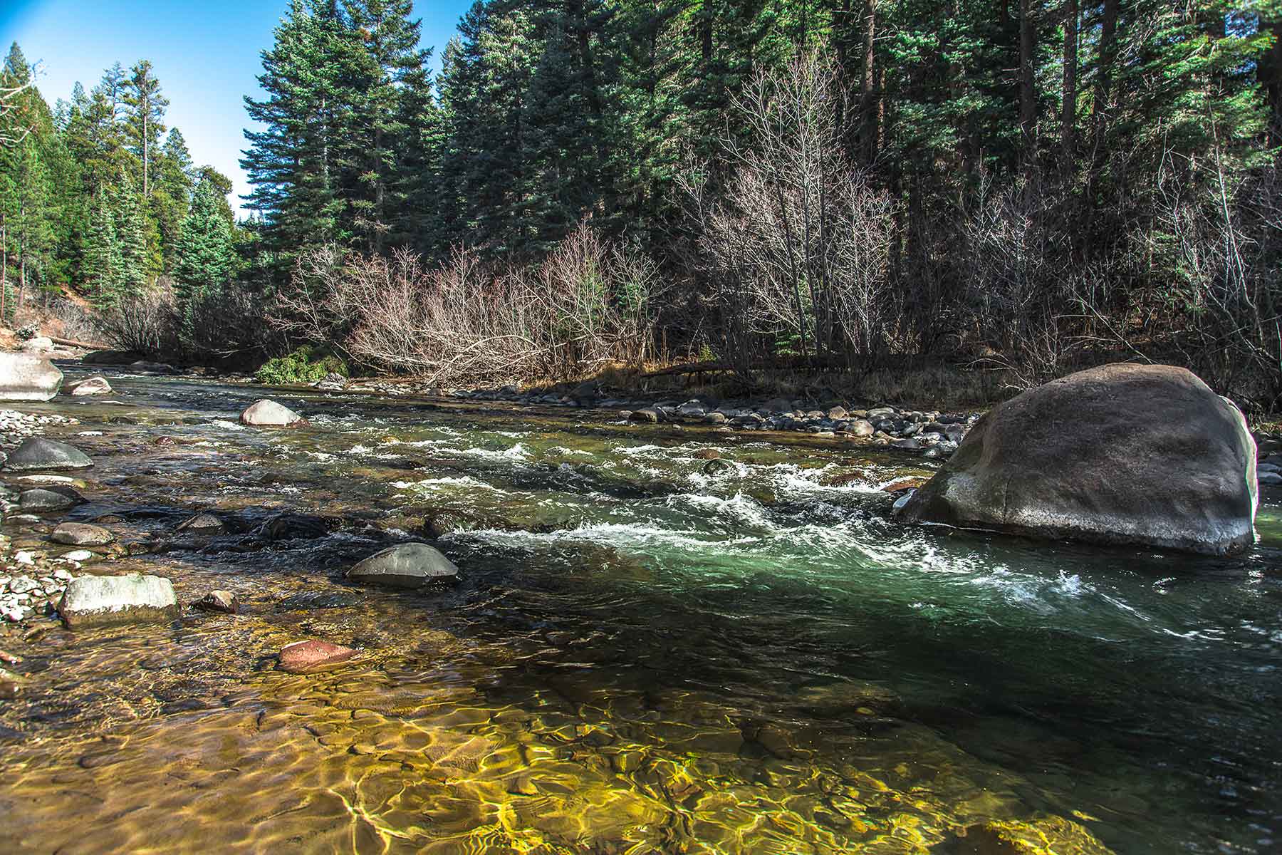 Saddleback Ranch property picture 11 of 52