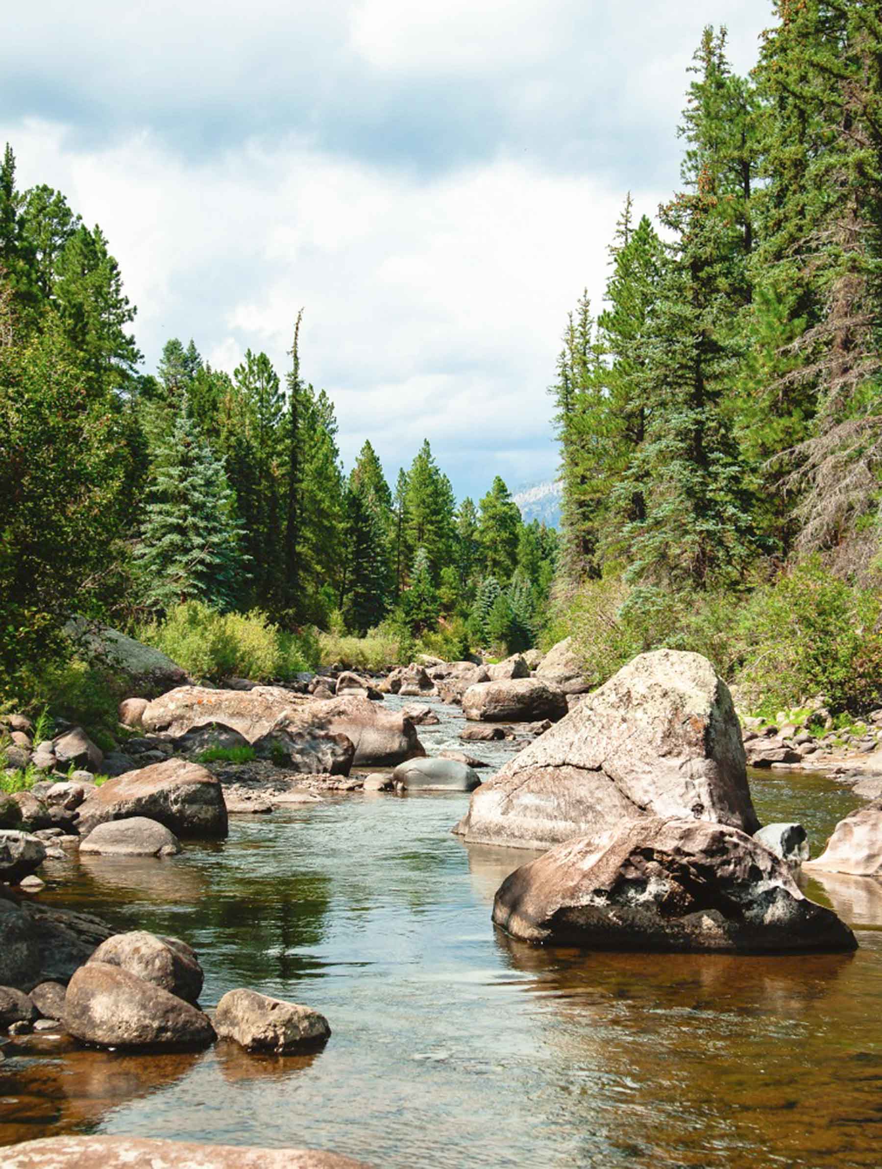 Saddleback Ranch property picture 8 of 52