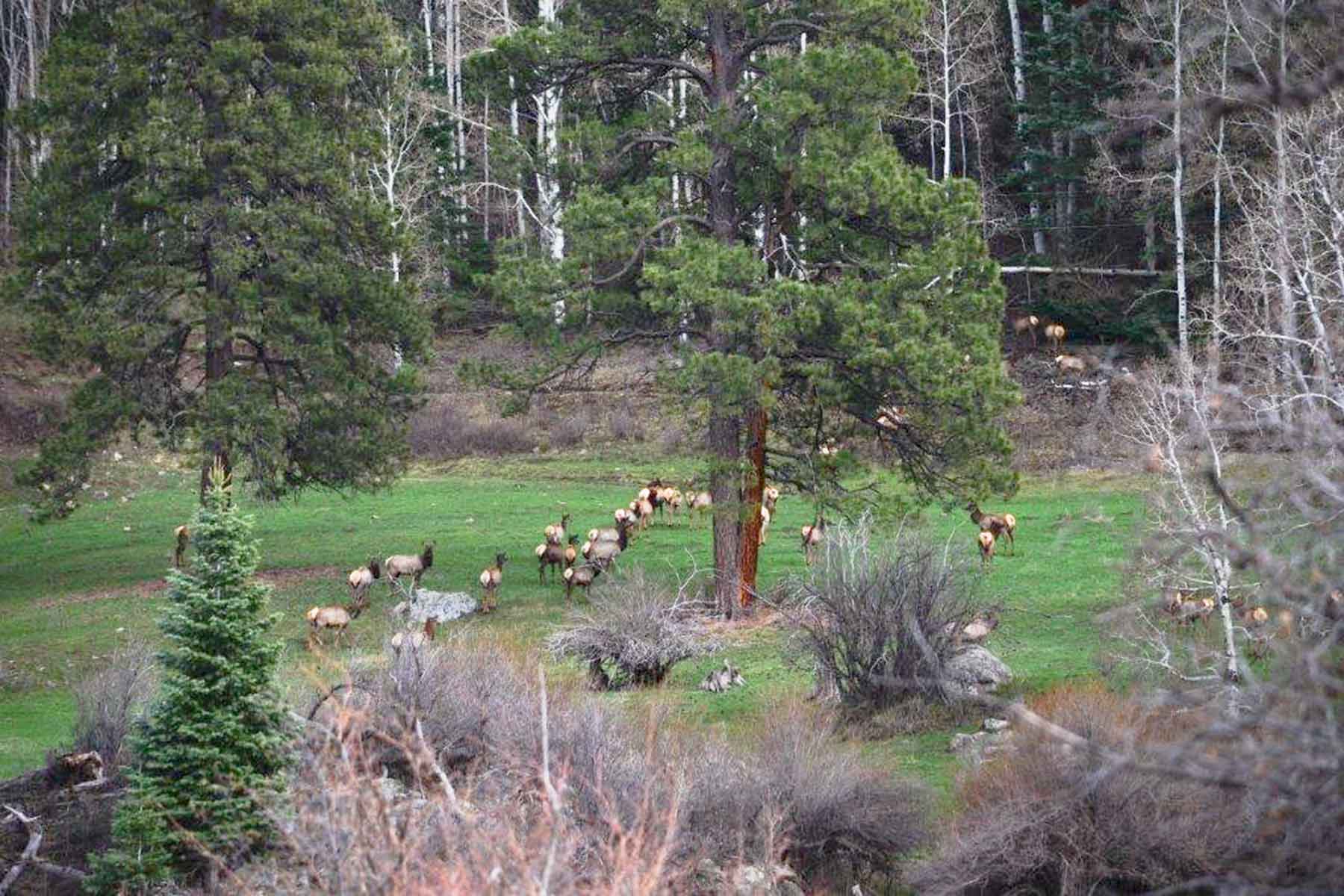 Saddleback Ranch property picture 7 of 52