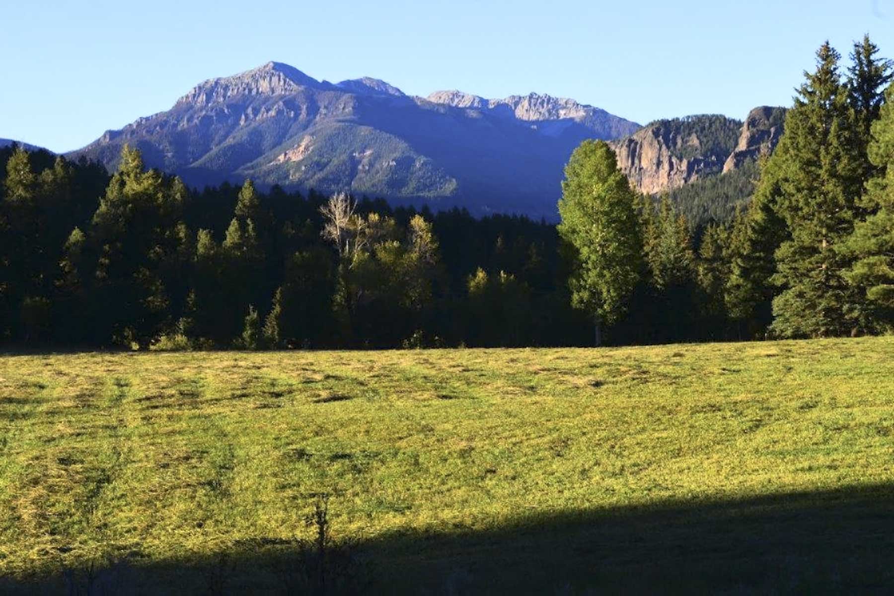 Saddleback Ranch property picture 4 of 52