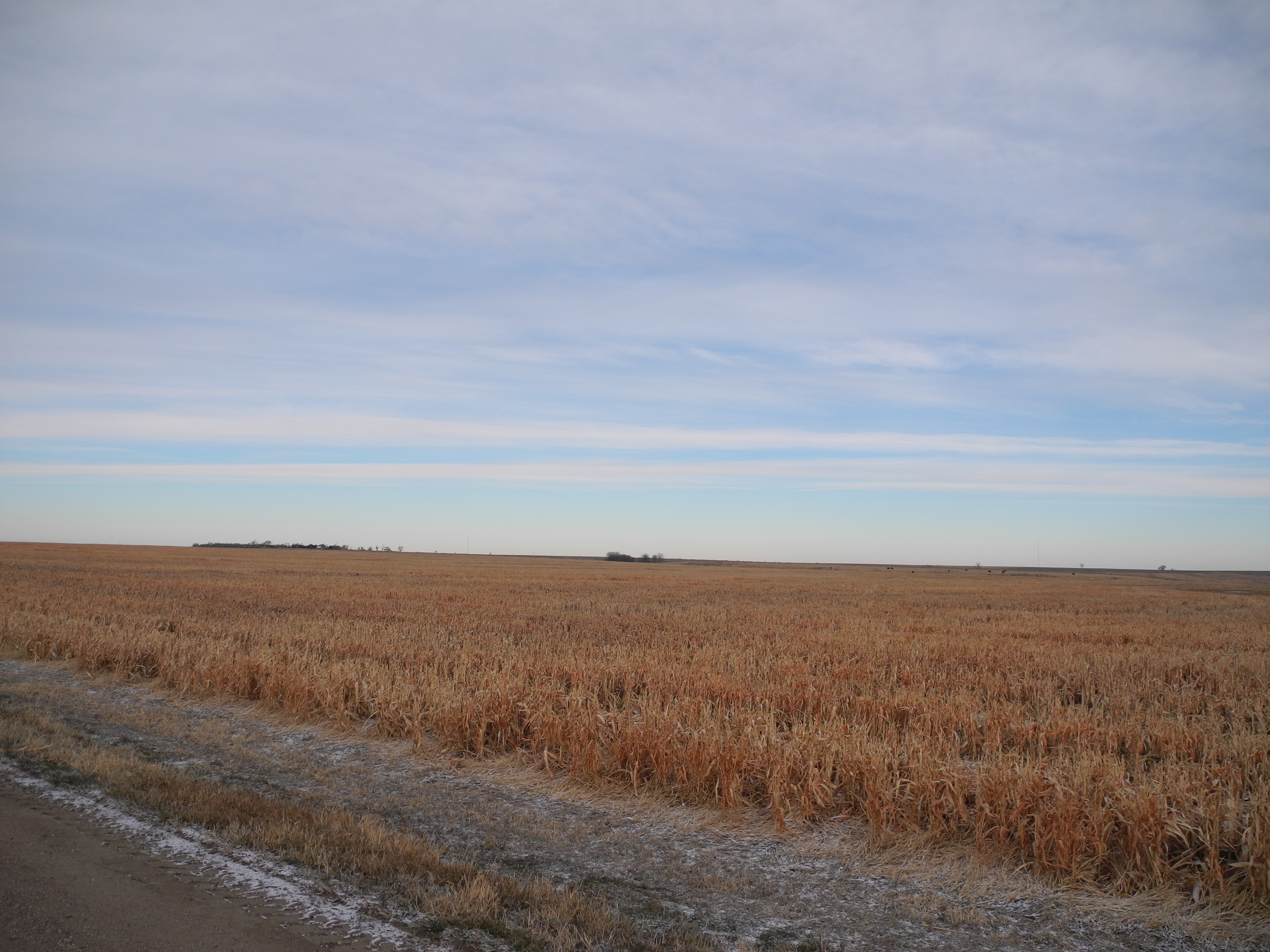 Kansas, Nebraska Farm & Ranch property picture 6 of 28