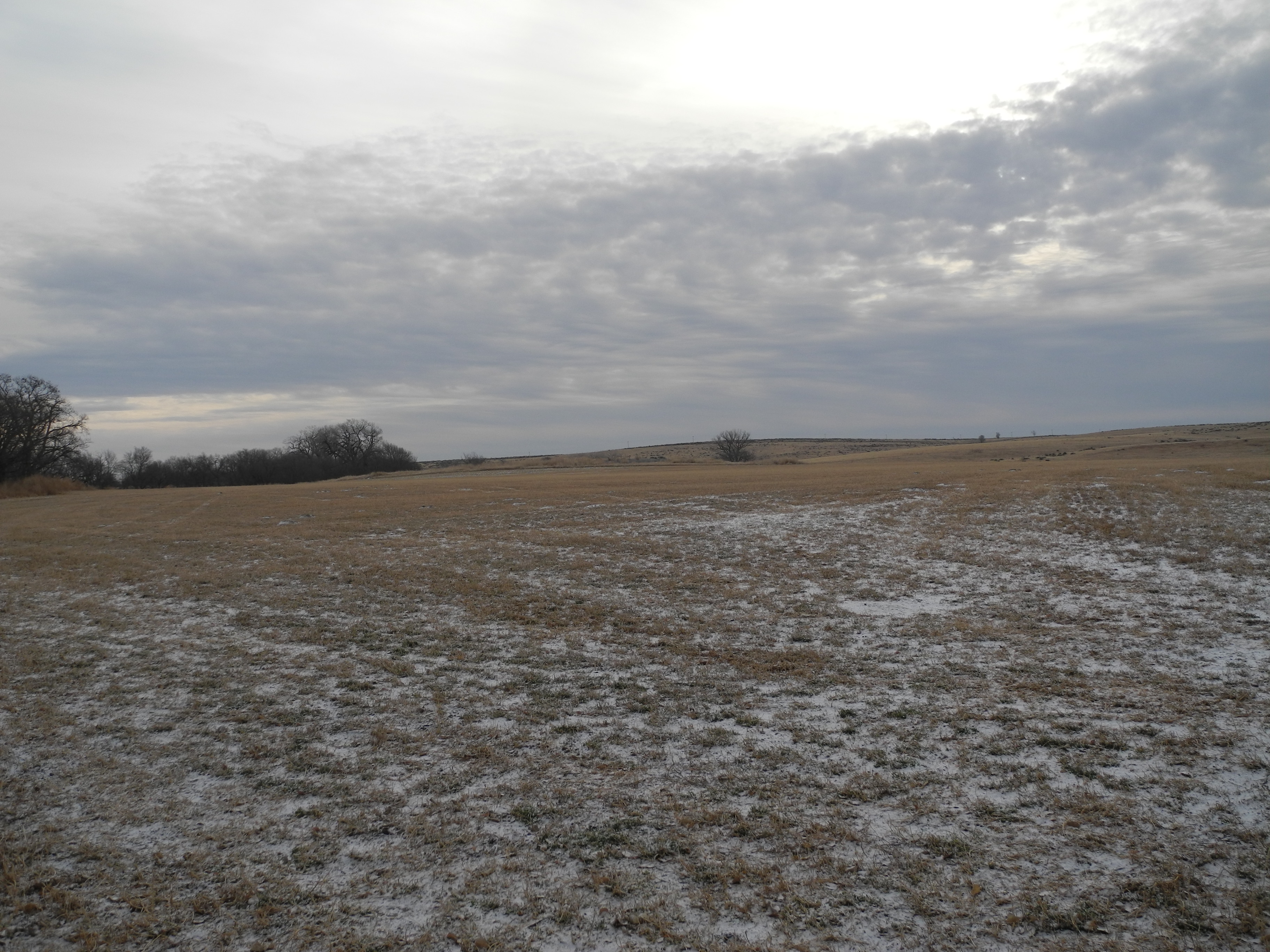 Kansas, Nebraska Farm & Ranch property picture 13 of 28