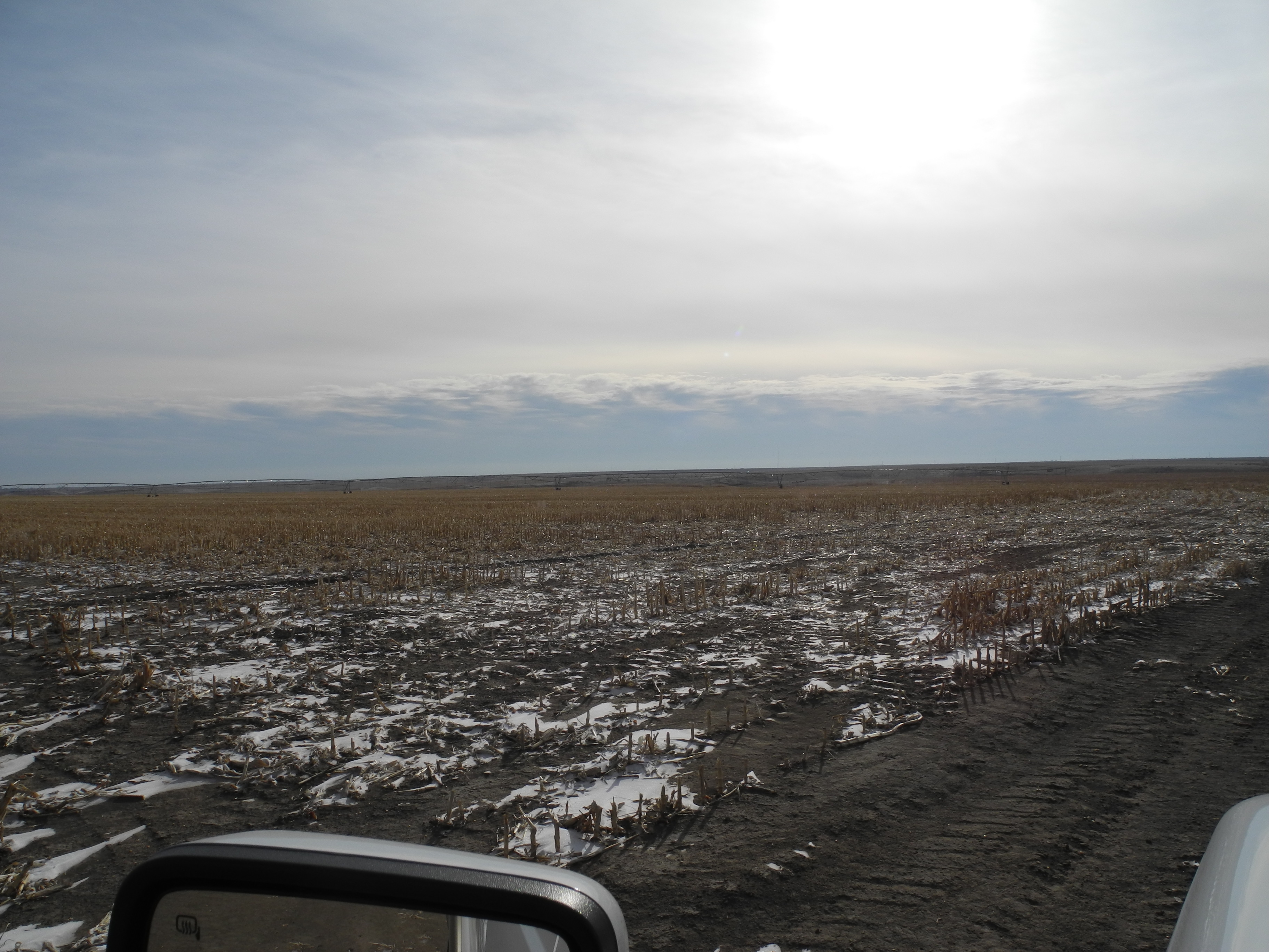 Kansas, Nebraska Farm & Ranch property picture 22 of 28