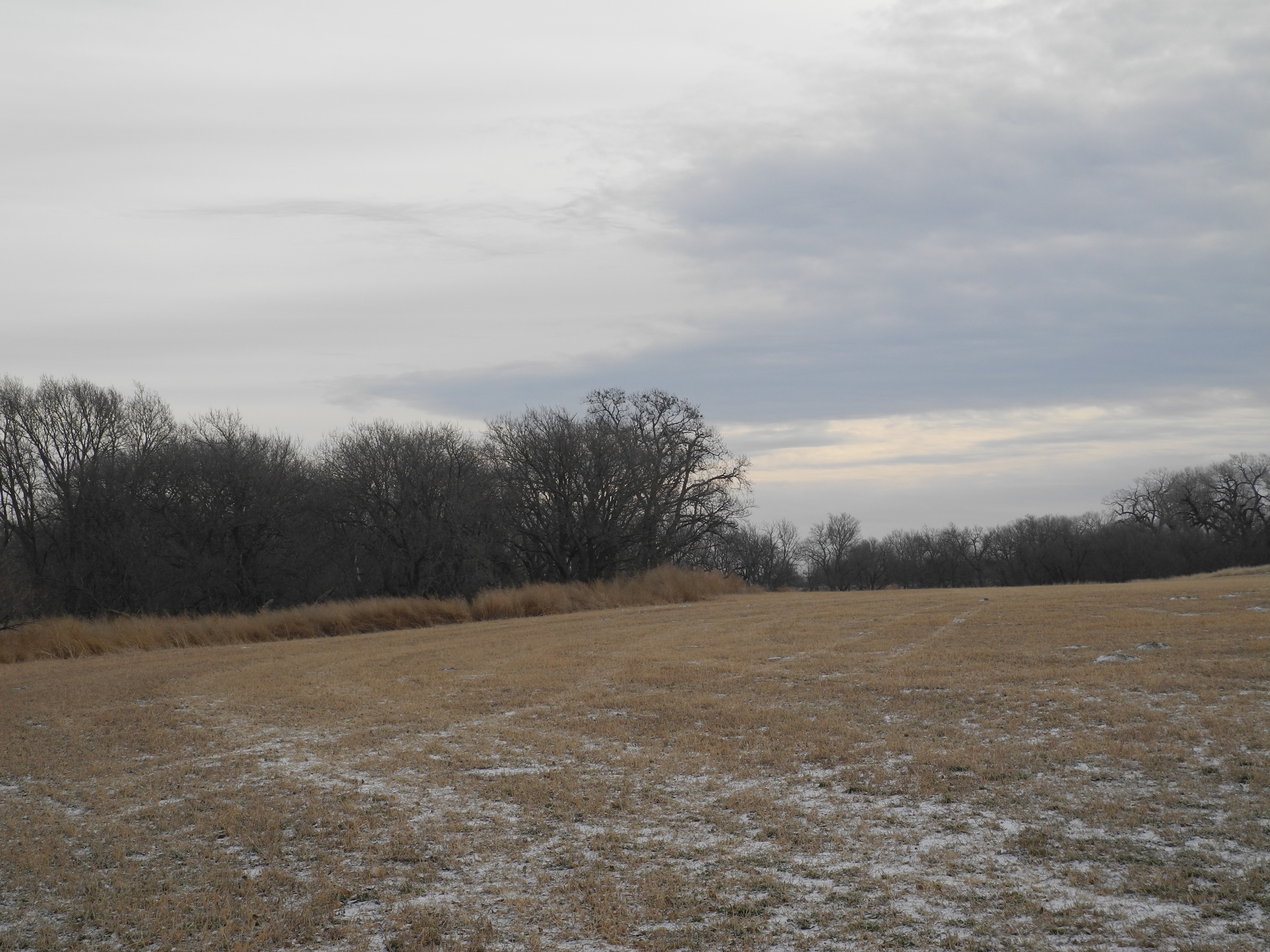 Kansas, Nebraska Farm & Ranch property picture 8 of 28