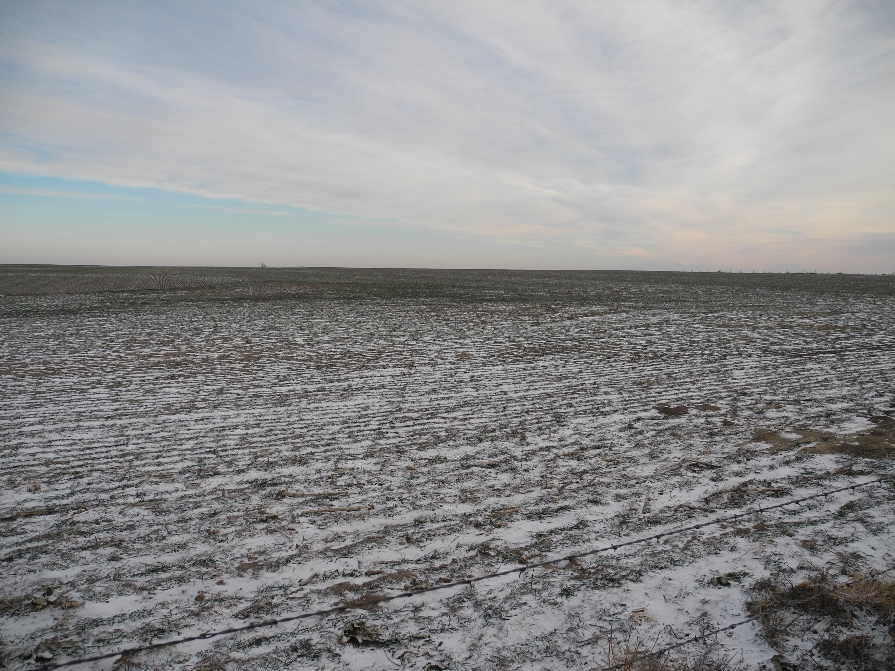 Kansas, Nebraska Farm & Ranch property picture 25 of 28